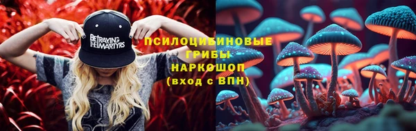 шишки Абинск