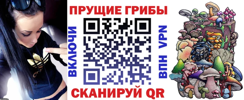 kraken ТОР  Александров  сайты даркнета состав  Галлюциногенные грибы мицелий 